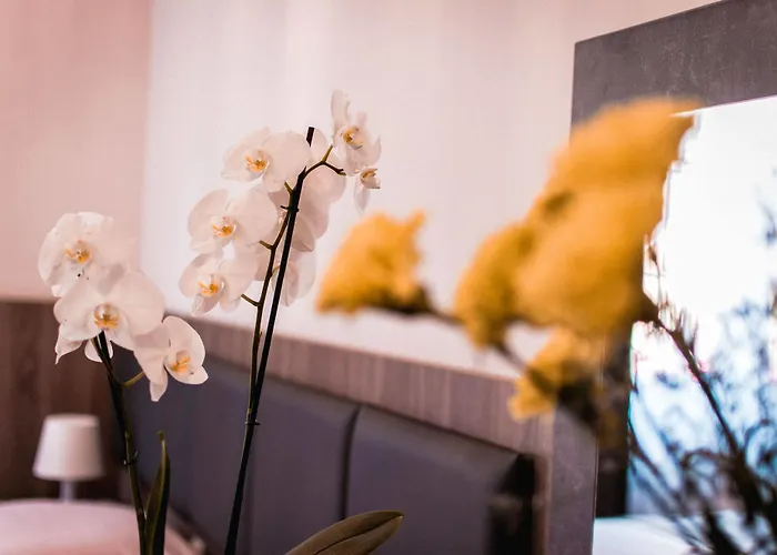 New Corner Village de vacances 3*